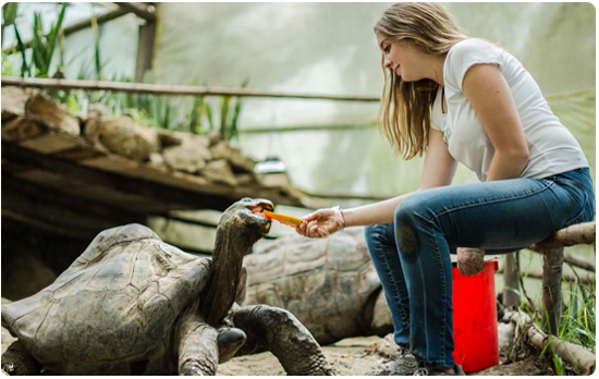 Programas de Voluntariado