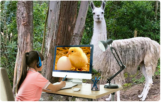 Programas de educación