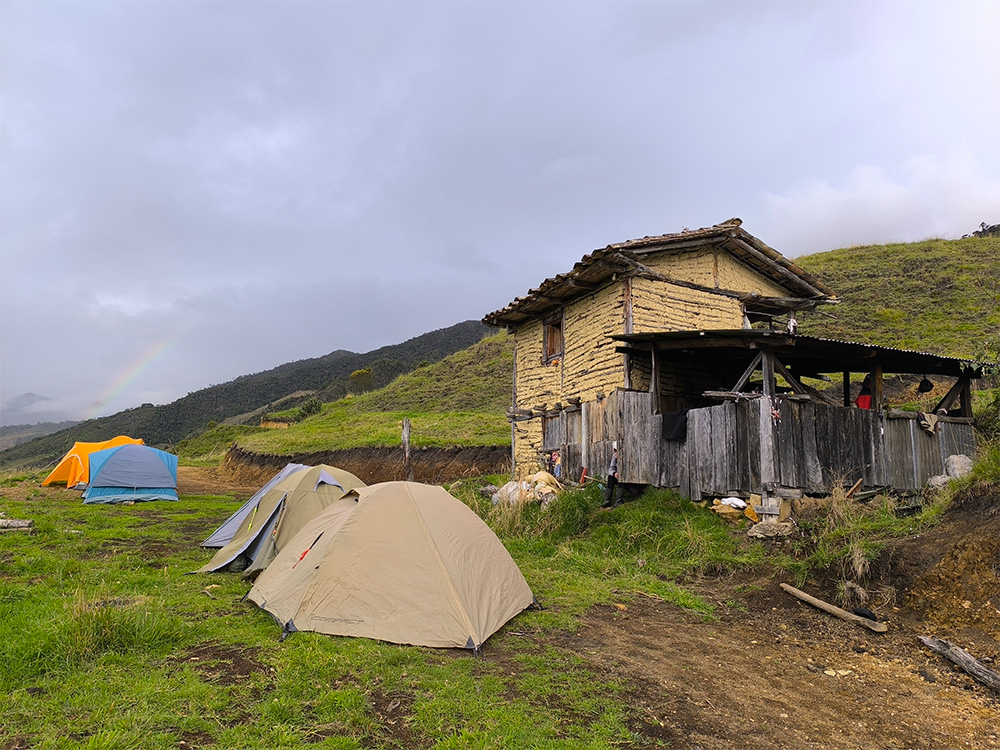 Proyecto de Conservación de Anfibios