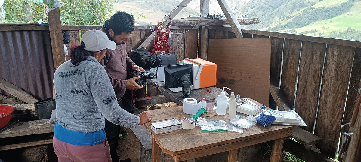 Proyecto de Conservación de Anfibios