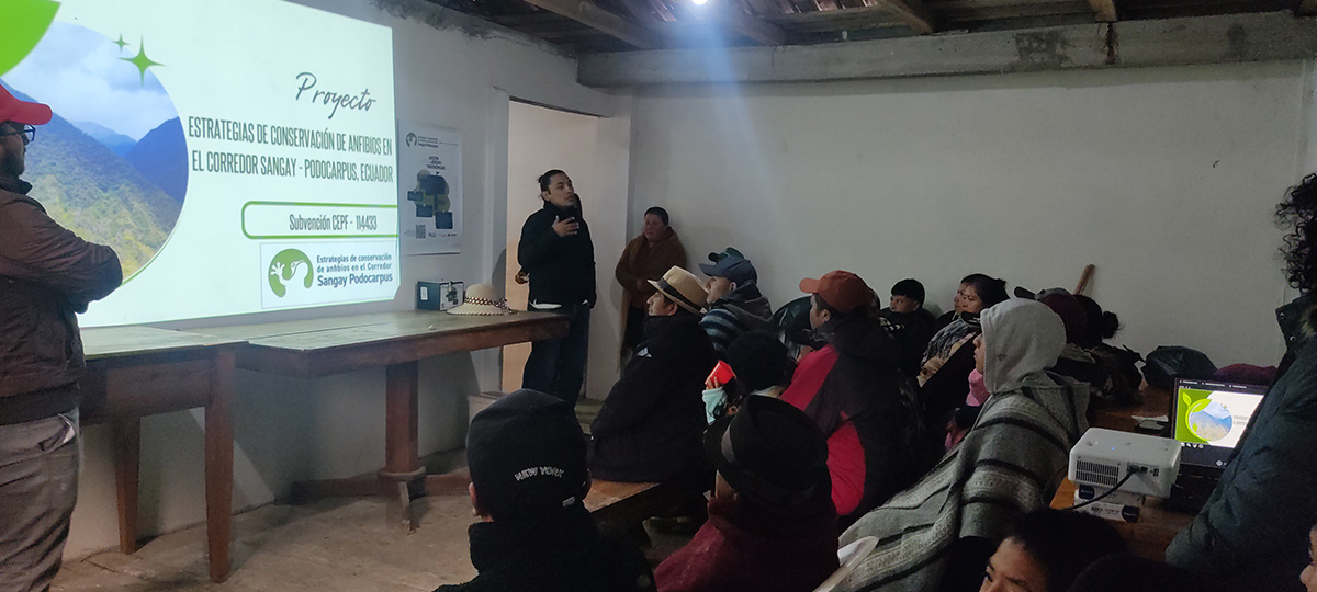 Proyecto de Conservación de Anfibios