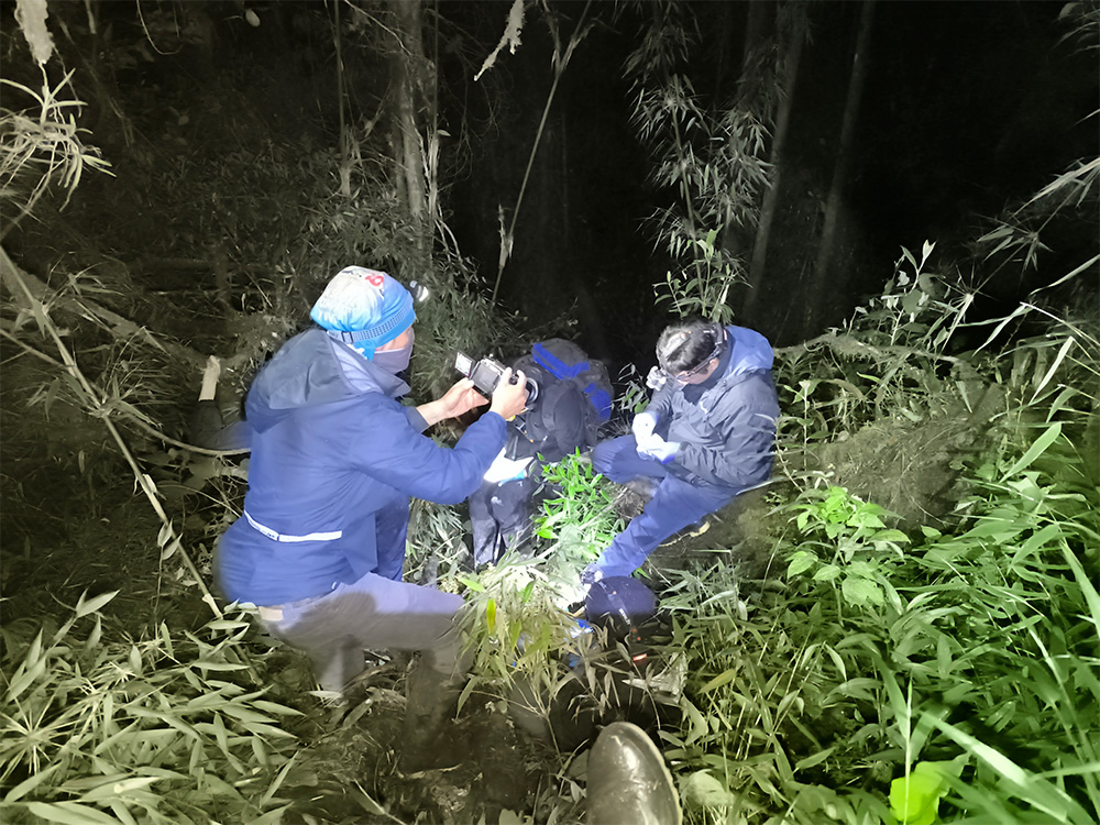 Proyecto de Conservación de Anfibios