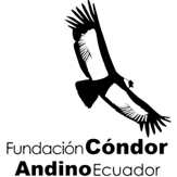 Fundación Cóndor
